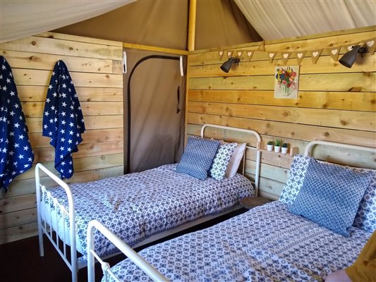 safari tent twin bedroom 